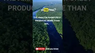 Do you know how much oxygen is produced Amazon jungle #shorts #shortsvideo #shortsfeed
