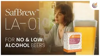Low and no-alcohol beer & brewing solutions with Fermentis SafBrew&trade; LA-01