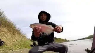 Goldeye fest!  NSR fishing (STURGEON QUEST 1st attempt)