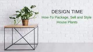 How-To Package, Sell and Style House Plants