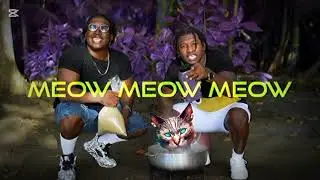 Suhrawh & Rawsheid - Eating Cat x Excursion Remix