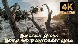 [4K] Burleigh Heads Walk ASMR -  Tallebudgera Creek to Burleigh Hill