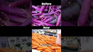 How Fruits Looked Before Humans