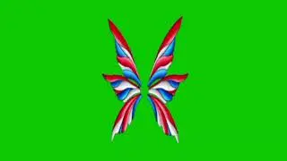 My American Style Colored & Designed Fairy Wings Flapping on Green Screen Effects #2