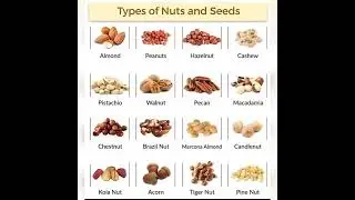 Nut vocabulary #vocabulary #english #education #englishvocabulary #viral