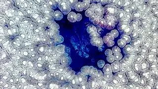 Wednesday LIVE! Huge, fluffy, jellyfish pearls using an open cup pour!