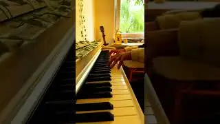 Awesome Piano Playing #AwesomePiano #violin #music #piano