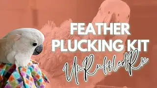 Complete Feather Plucking Kit