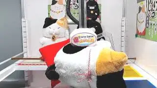 Get[Higemanju Manekineko BIG A]!
