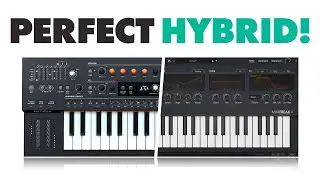 The perfect HYBRID SYNTH!