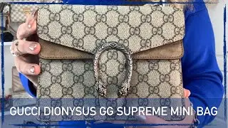 Gucci Dionysus 2 year review | mod shots, wear & tear, what fits, details