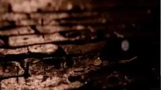 Watched You're Dying Town } Promise Land