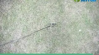 Micro sprinkler AY 1116