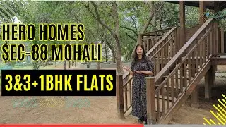 Hero Homes के साथ बनाए अपनी दुनिया को रंगीन | Sector -88 Mohali | 3 & 3+1 BHK | S+20 Highrise towers
