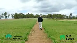 DLF Seeds talks us through the Pasture Trial Network Site at Manjimup