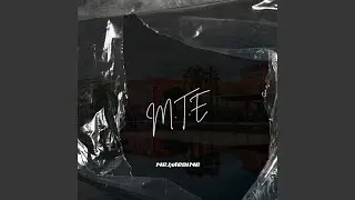 M.T.E