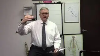Brain Degenerative Stages - Stop It Early