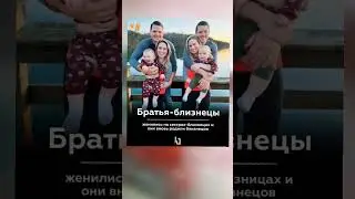 #информация #Апролд #Aprold #подпишись #shortvideo #subscribe