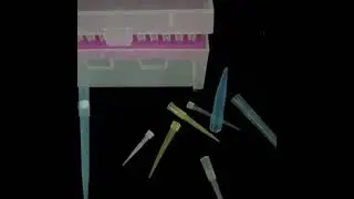 200ul Disposable Sterile Plastic micropipette 10ul 96 Wells with filter racked tips 1000ul
