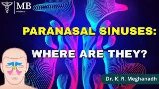 Paranasal Sinuses: Where Are They Located?| Dr. K. R. Meghanadh | Medyblog