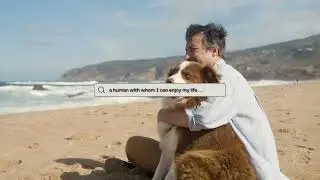 Modern Animated Dog Shelter Search Marketing Video