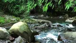 Forest River Sounds &ndash; Peaceful Flowing River & Calming Water Sounds for Deep Sleep