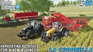 Creating a Business Specializing in Bagged Potato Retail | La Coronella Farm | FS 22 | Timelapse #37