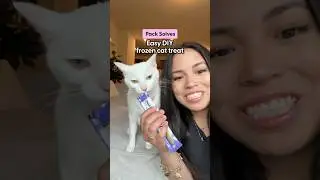Easy Frozen Cat Treat You Need to Try | The Pack
