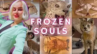 500+ Frozen Animals, Insects & Shells! 😱❄️🦋🦀