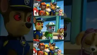 ✅🐾PAW Patrol Rescue World: Marshall, Rubble, Chase, Zuma, Rocky and Skye & Ryder #pawpatrol 😱 😱😱🤣