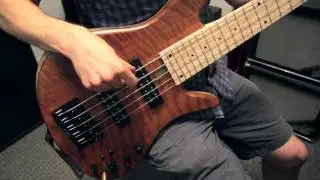 The Redwood Emperor Standard Special