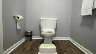 Using step stool along with toilet increases bowel movement