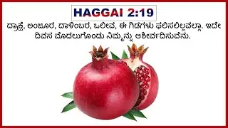 Pomegranate- Br Jon Rod Free Kannada Bible Study - Br Raju -8867768876- Jesus Loves Ministry-25/5/25