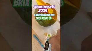 El mango m&aacute;s dulce del 2024 #recordguiness #sweetestfruit #top #viral #fruit #best #mango #Florida