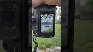 Electronic Shutter For Canon R8 #canonphotography