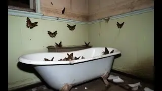Noise Bath (121725) (Darkambient Industrial Noise)