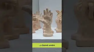 Narozeniny ZU&Scaron; Opava
