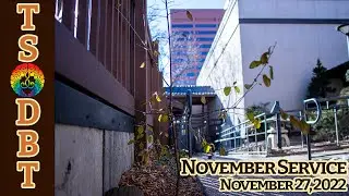 Karma and Jodo Shinshu Buddhism - TS/DBT November YouTube Service - November 27, 2022