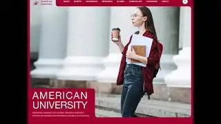 Website Design for University. Best Solutions Website Development