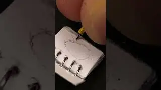 The Worlds Smallest Pencil! (#shrek )