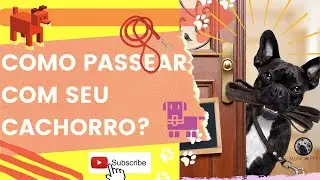 COMO PASSEAR COM SEU CACHORRO? (Dicas incríveis e infalíveis)