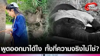 'หนูนา'เดือดจัด ฟาด'กรมอุทยานฯ'หลัง