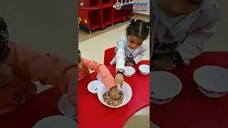 Gram Sorting Activity | Allenhouse Public School Vrindavan Yojna Lucknow