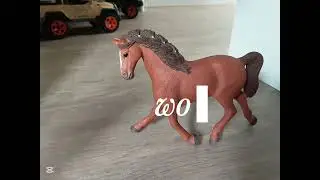 Schleich horses 