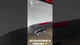 Added some carbon fiber tips to the Scat from Raccoon Performance!
