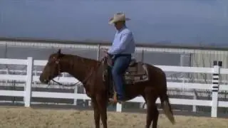 How get your horse to do something, the first time you ask.
