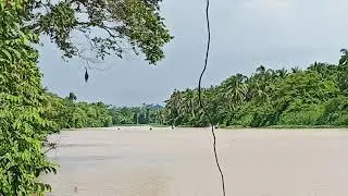 Lumba perahu segama