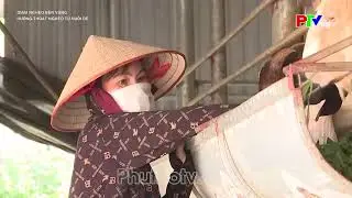 Kỹ thuật nuôi dê làm giàu