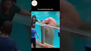 Day 104 of posting until i reach 1 million subs (21\1M) #entertainment #viralvideo #shorts #explore