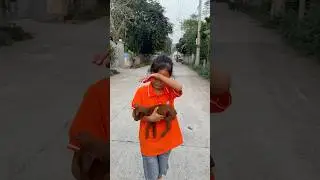 Please save the dog 😭🙏🏻 #dog #lovedog #pet#lovepets